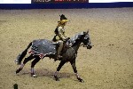 Quadrille - 00675